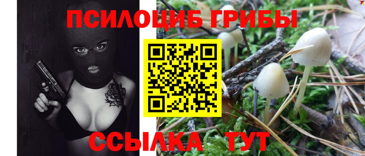 Галлюциногенные грибы мицелий Кудымкар