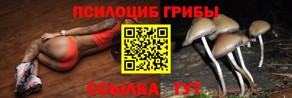 Кудымкар  Псилоцибиновые грибы Cubensis  Вход с VPN 