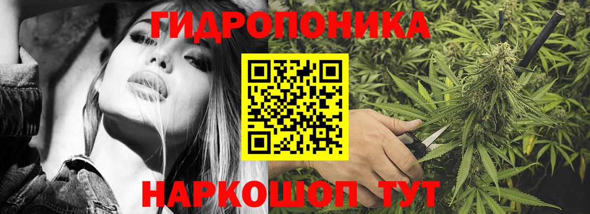 Бошки марихуана планчик  Каннабис Ganja  Бошки Шишки MAZAR  Кудымкар  Вход с VPN 